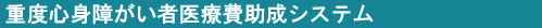 重度医療システム