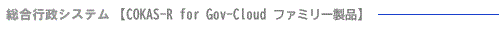 総合行政システム COKAS-R for Gov-Cloud ファミリー製品
